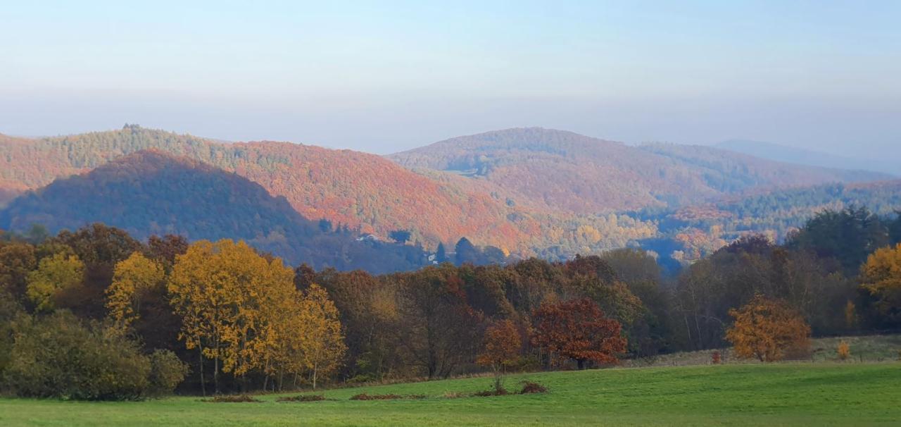 Ferienwohnung Zum Maerchenwald Bergfreiheit Extérieur photo