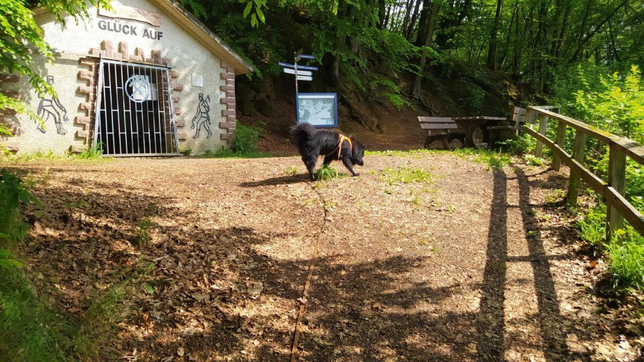 Ferienwohnung Zum Maerchenwald Bergfreiheit Extérieur photo