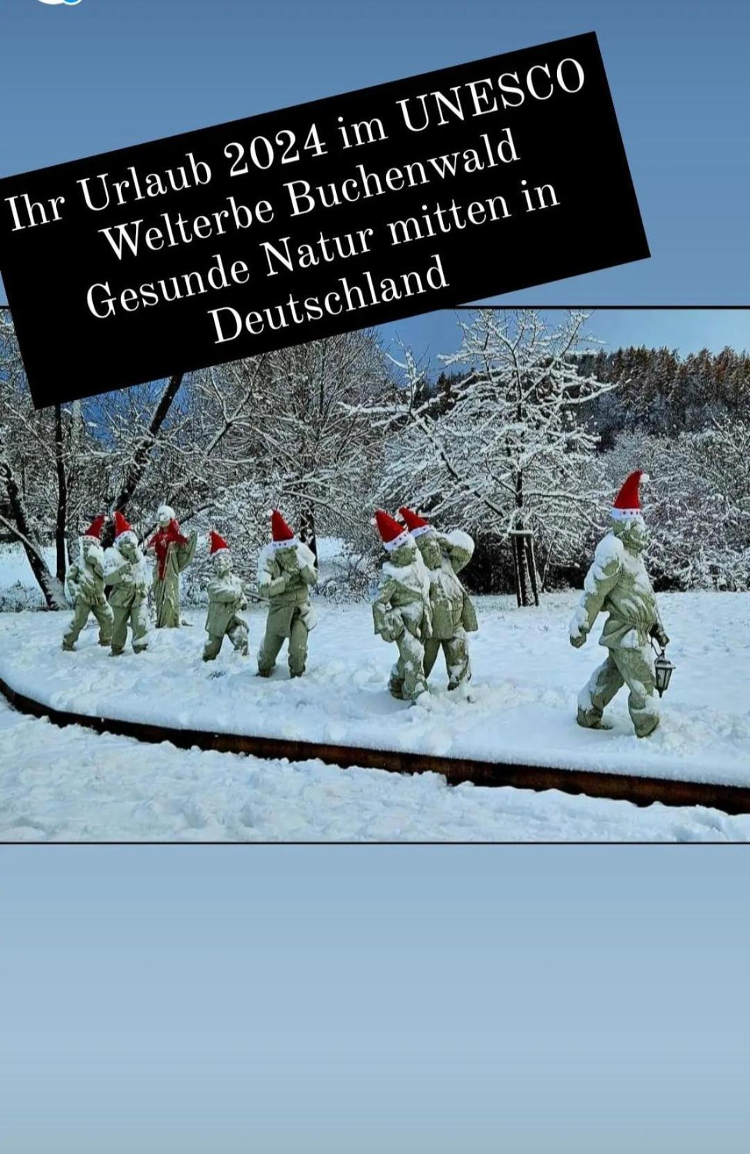 Ferienwohnung Zum Maerchenwald Bergfreiheit Extérieur photo
