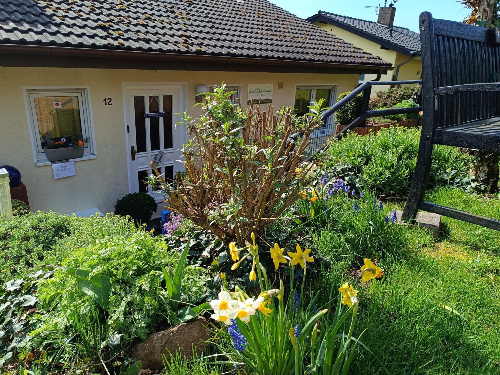 Ferienwohnung Zum Maerchenwald Bergfreiheit Extérieur photo