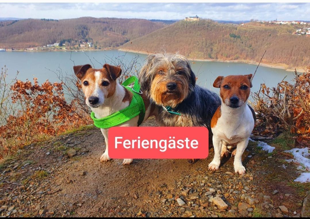 Ferienwohnung Zum Maerchenwald Bergfreiheit Extérieur photo
