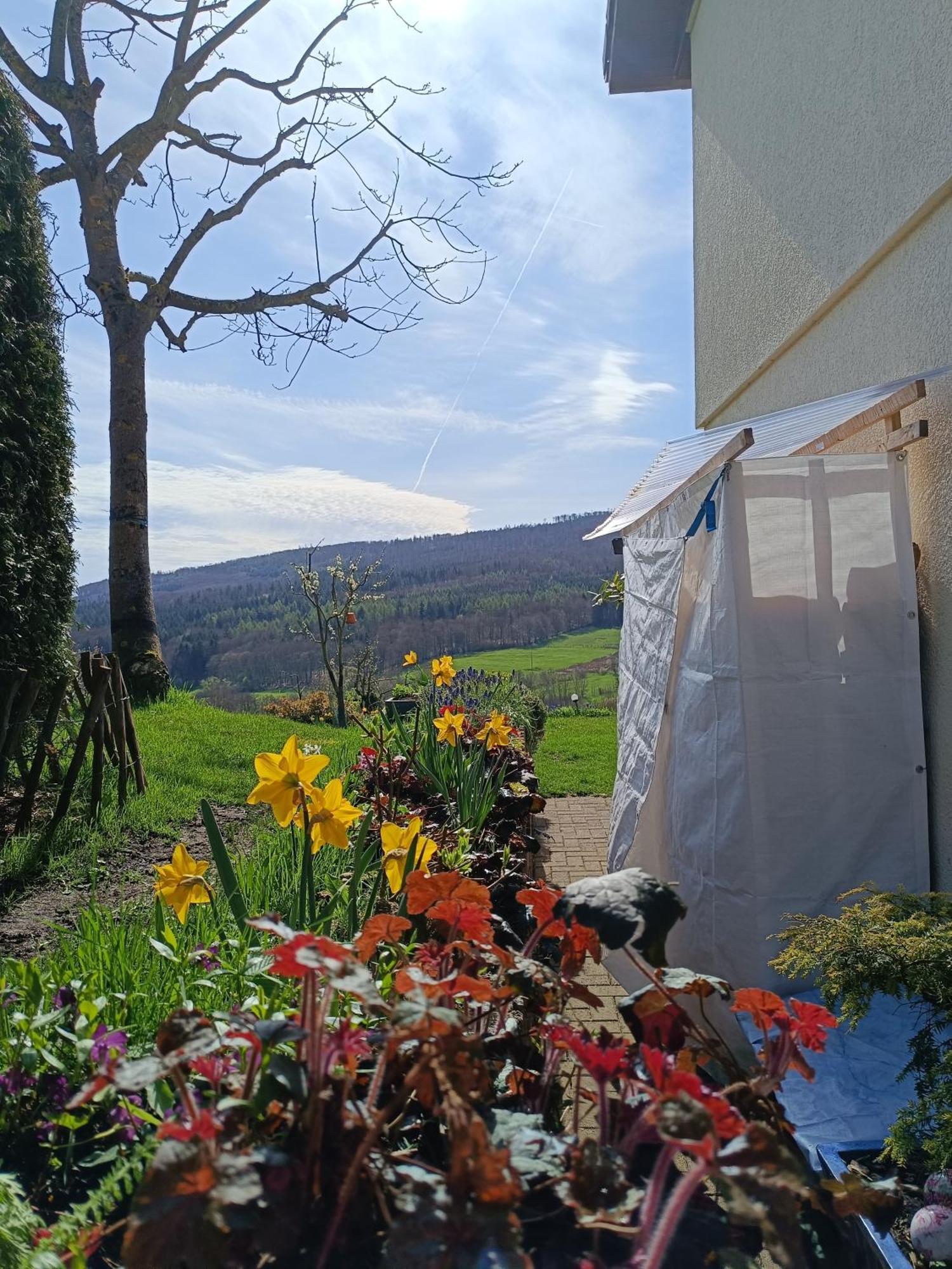 Ferienwohnung Zum Maerchenwald Bergfreiheit Extérieur photo