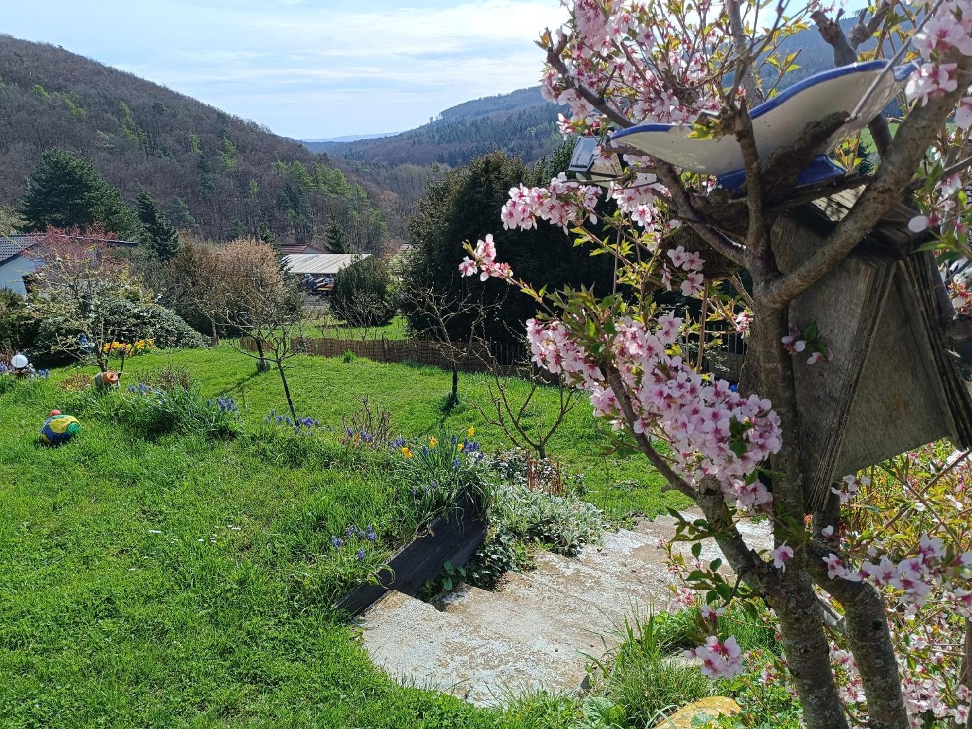 Ferienwohnung Zum Maerchenwald Bergfreiheit Extérieur photo